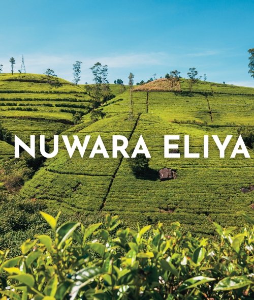 Nuwara Eliya