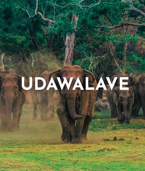 Udawalawe