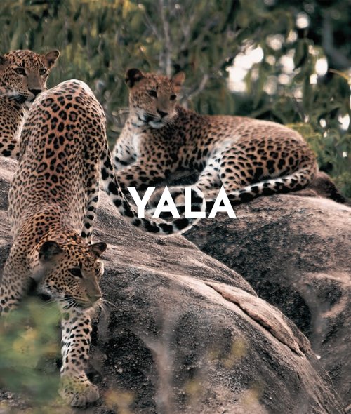 Yala
